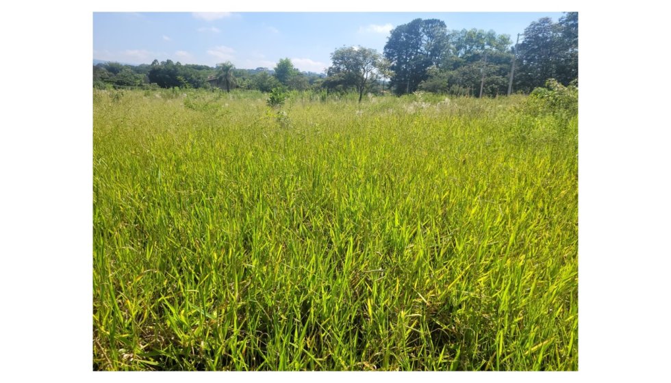 Terreno em São Pedro