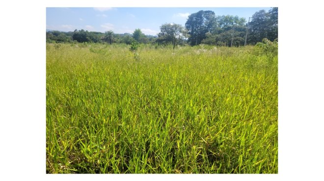 Terreno em São Pedro